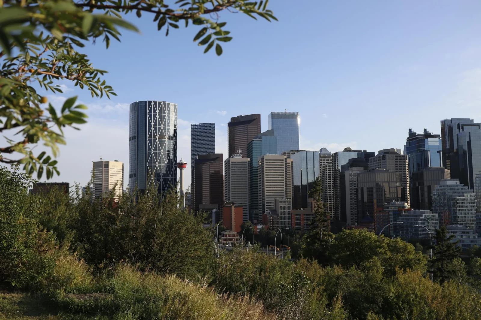 A vibrant view of Calgary's skyline with modern skyscrapers framed by greenery under a clear sky.