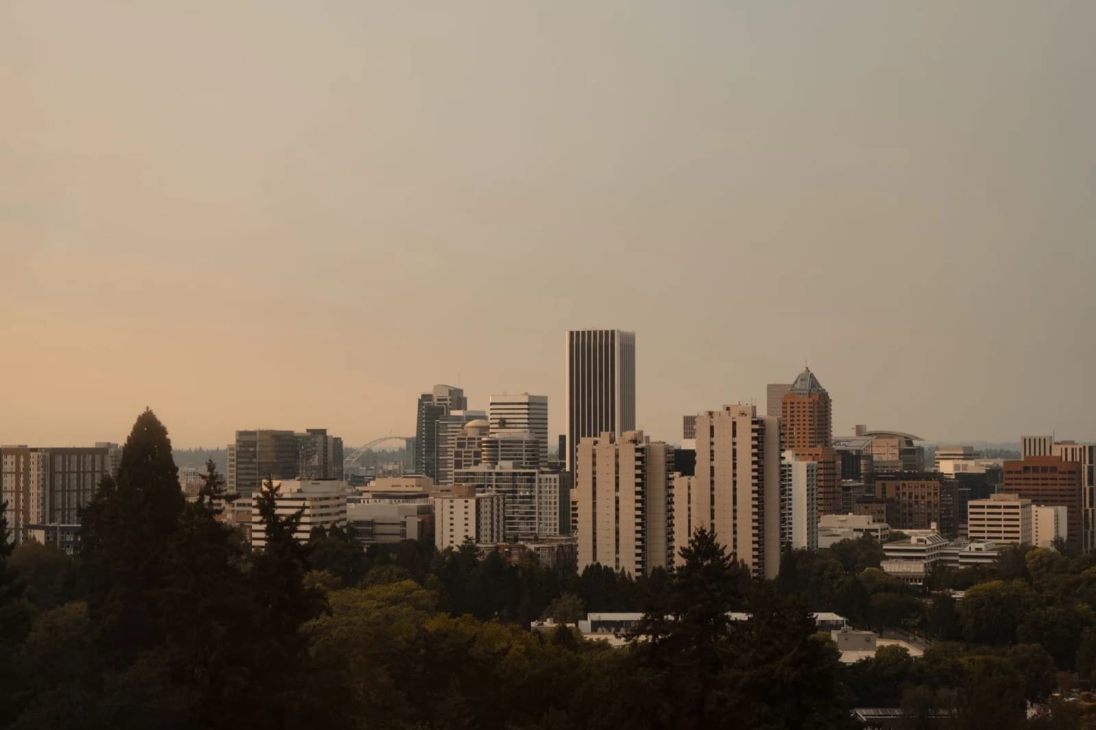 Captivating Portland skyline framed by trees at sunset, highlighting urban architecture.