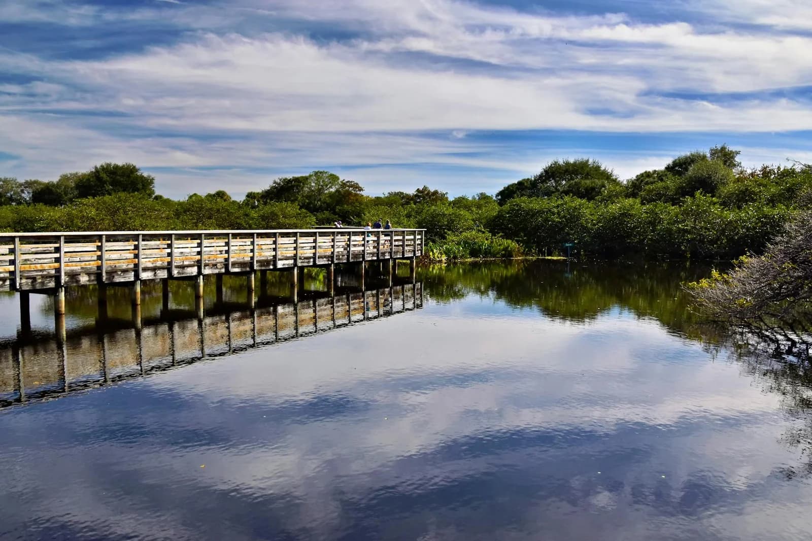 Tranquil view of a boardwalk reflecting on a serene lake surrounded by lush greenery in Delray Beach, Florida.