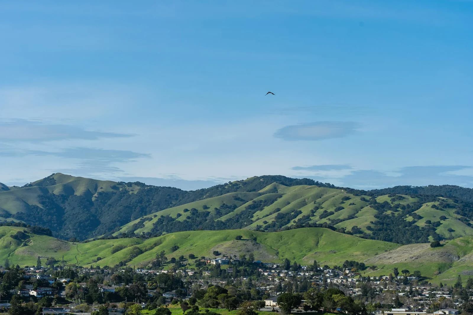 Beautiful panoramic view of green rolling hills and a vibrant town beneath a clear blue sky.