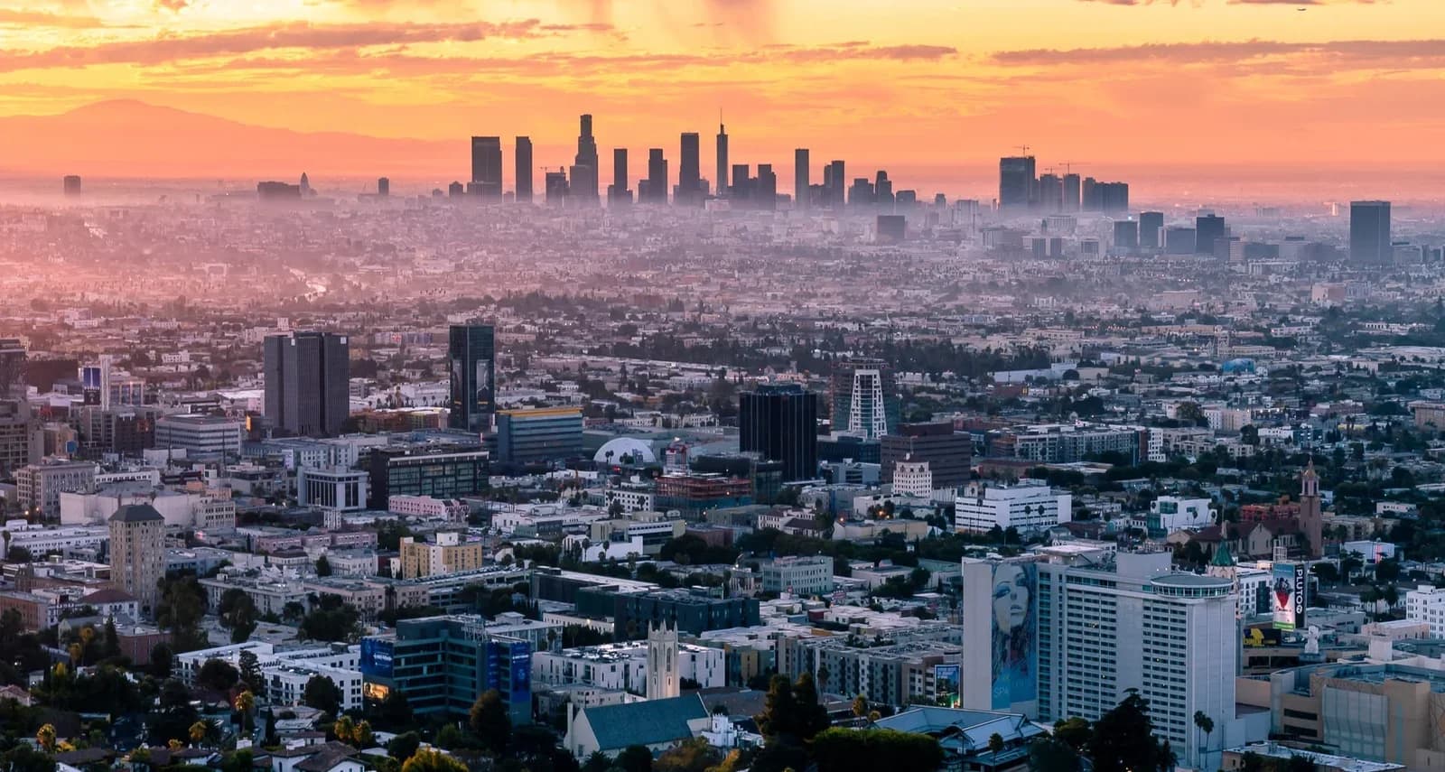 Los Angeles skyline in the morning with palm trees