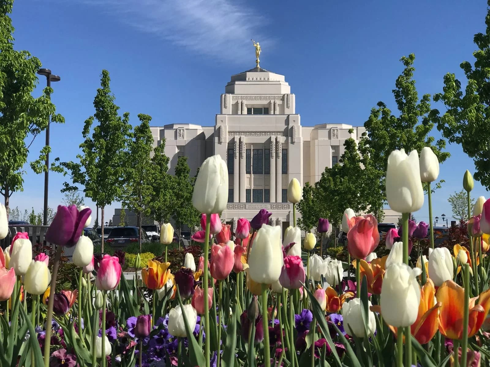 Meridian, Idaho downtown and business district