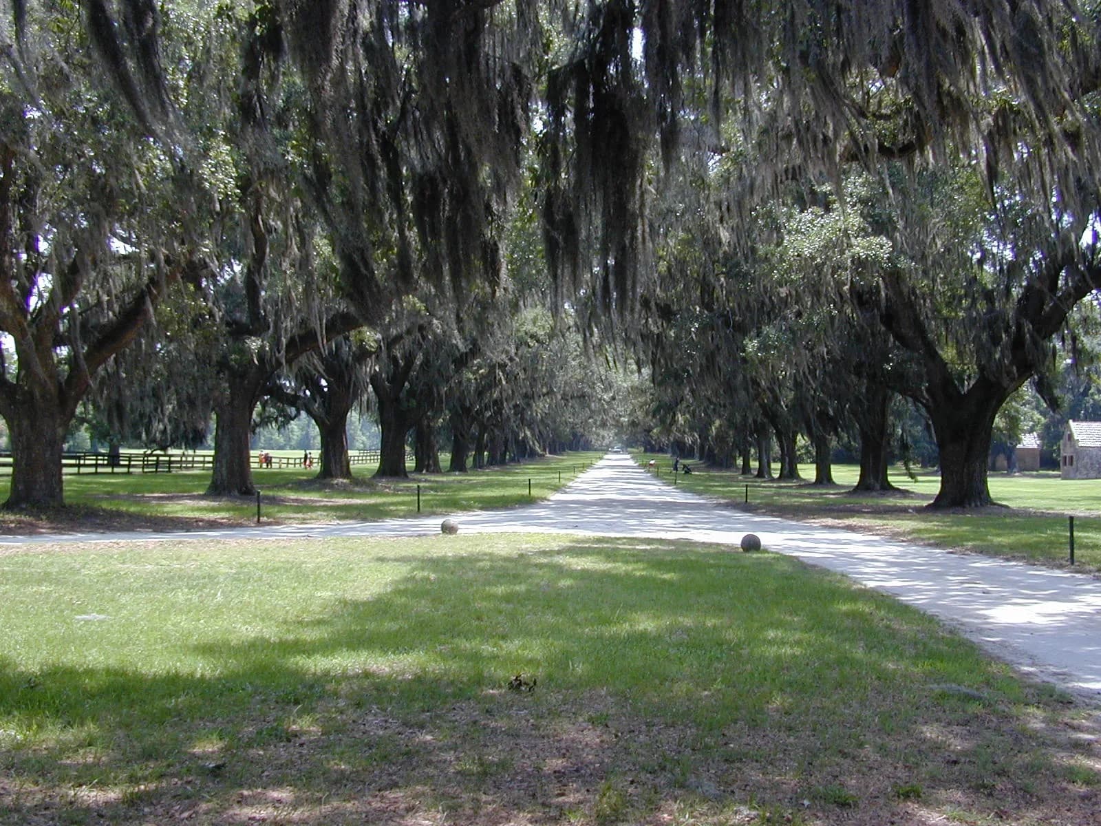 Mount Pleasant, South Carolina downtown and business district